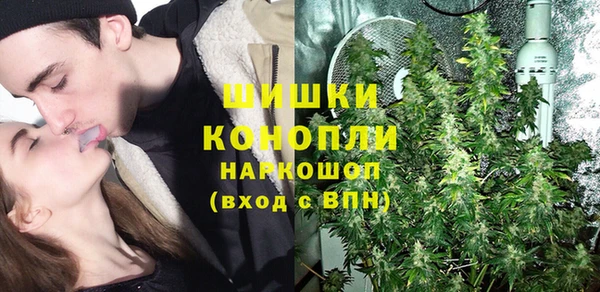 спайс Инсар
